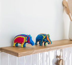 Hippo petit Hippo petit