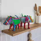 Warzenschwein Medium