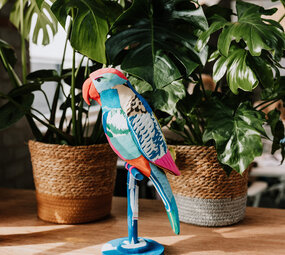 Parrot Parrot