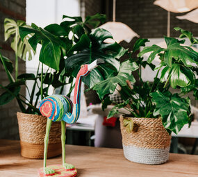 Flamingo Flamingo
