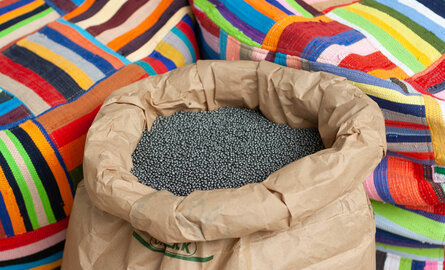 Van frustratie bij de milieustraat tot de meest impactvolle zitzak