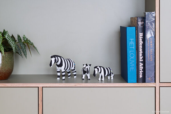 Zèbre moyen Zèbre moyen