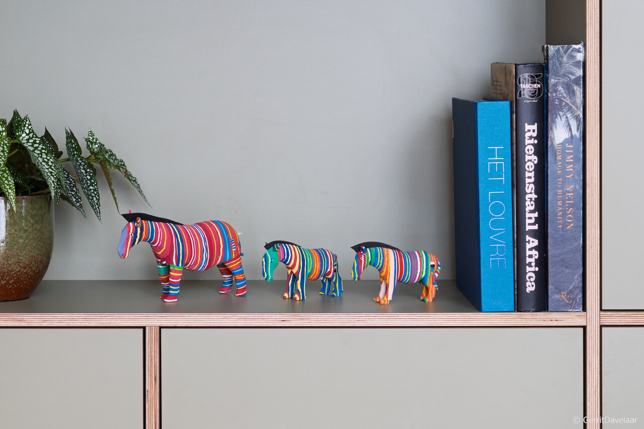 Zèbre moyen Zèbre moyen