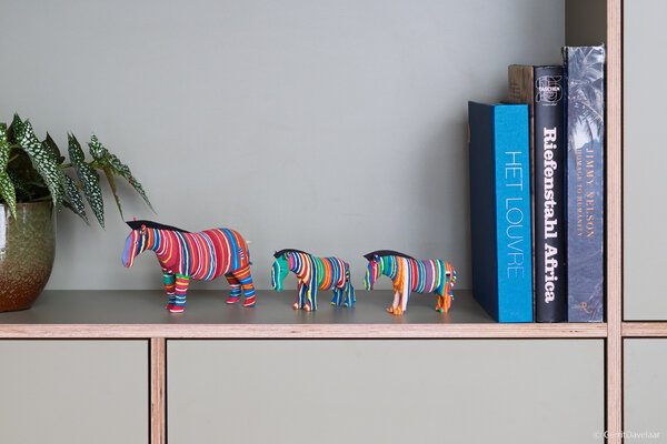 Zèbre moyen Zèbre moyen