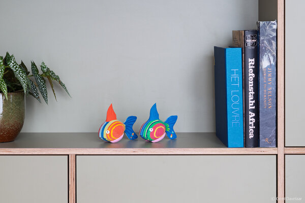 Poisson corail petit