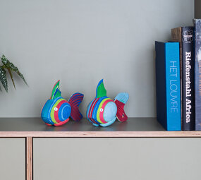 Poisson corail moyen