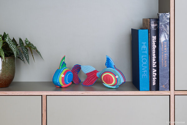 Poisson corail moyen