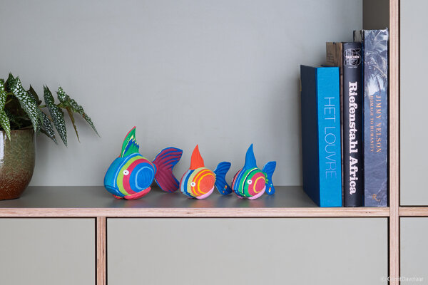 Poisson corail petit + moyen