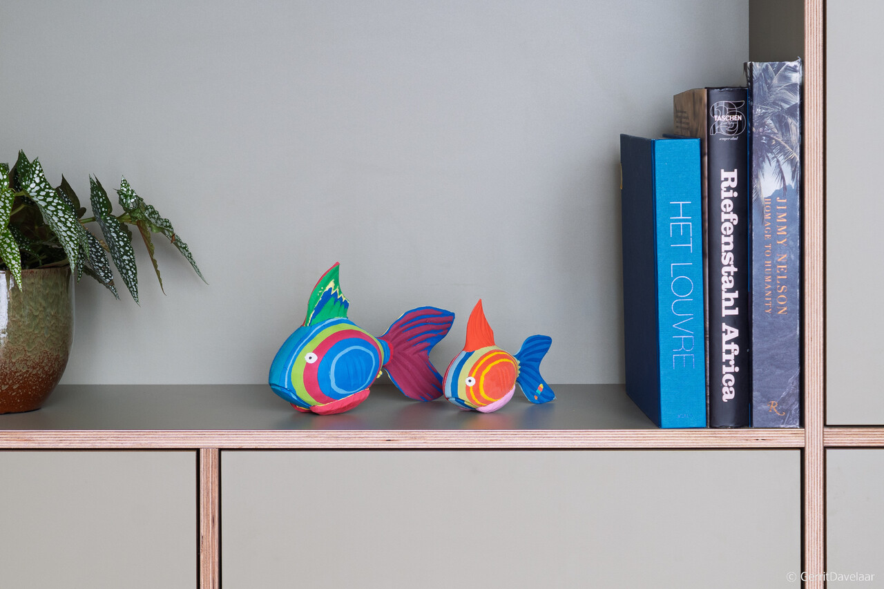 Poisson corail petit + moyen