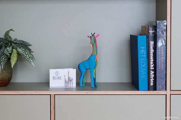 Girafe Moyenne Girafe Moyenne