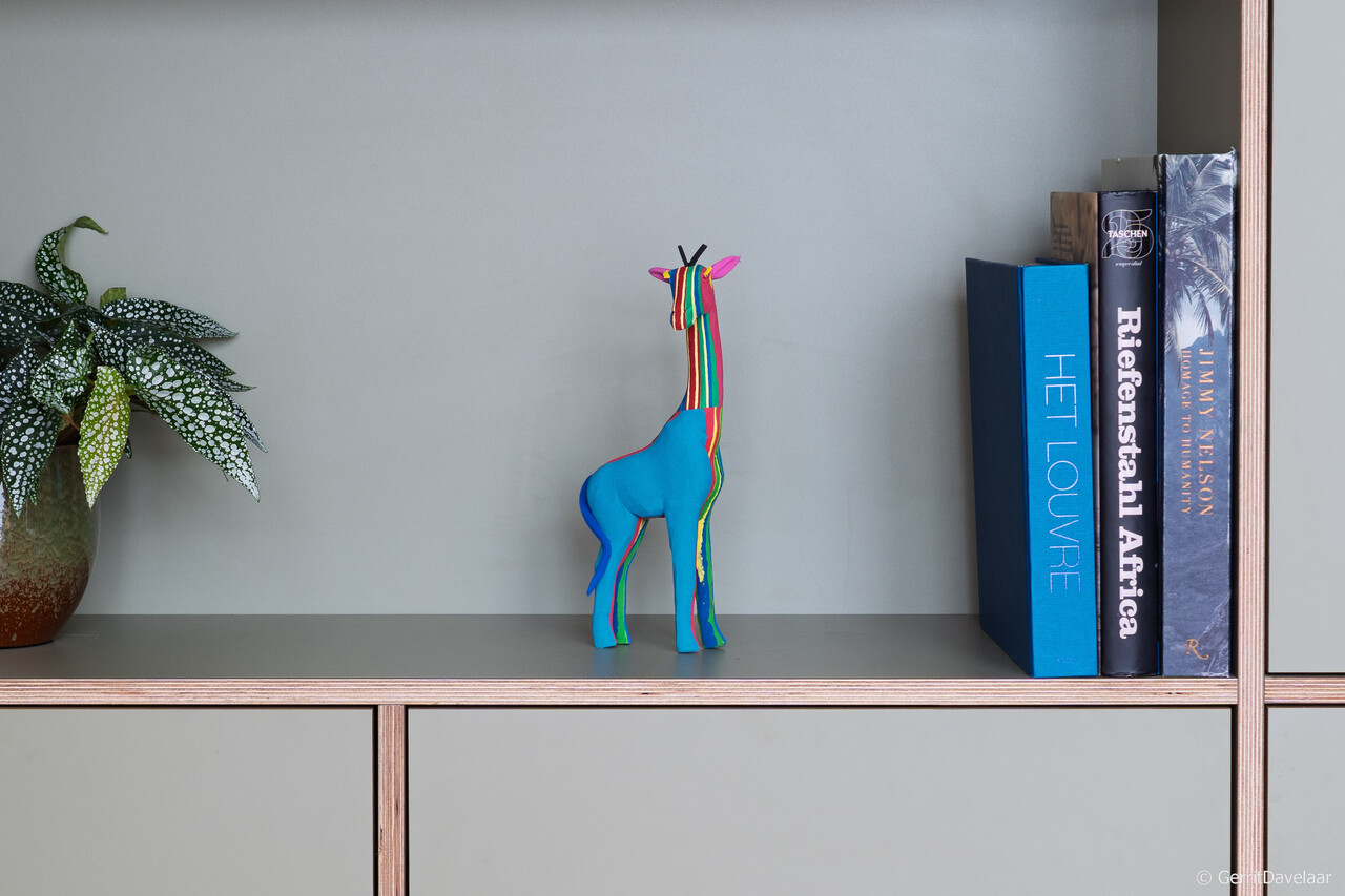 Girafe Moyenne Girafe Moyenne