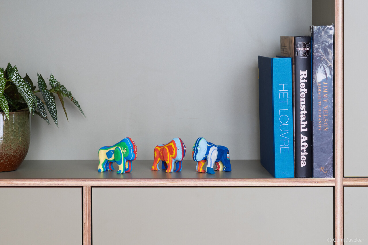 Gorille petit Gorille petit