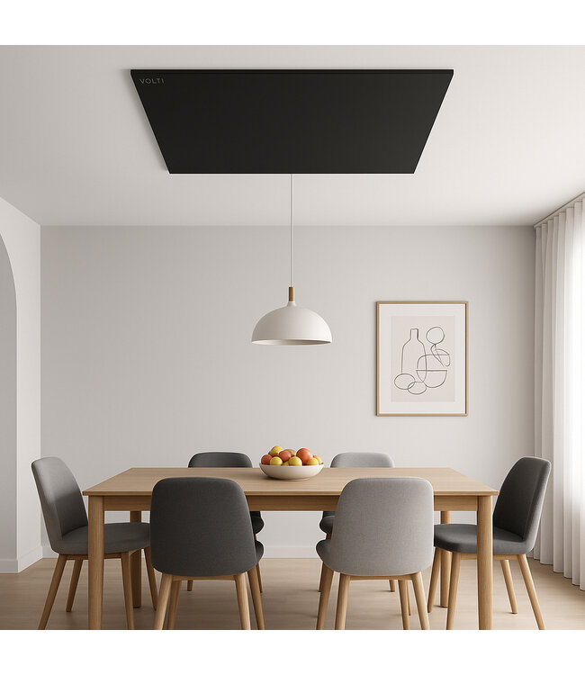 Infrarood Warmtepaneel 580W Zwart