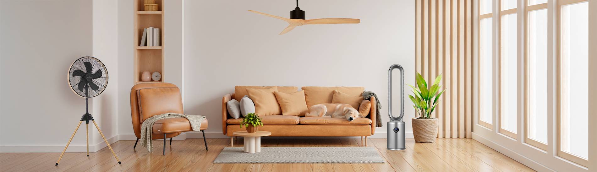 Wéér een warme zomer?