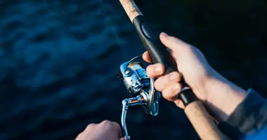Rods & Reels
