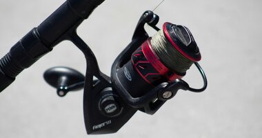 Reels
