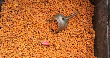 Pellets, Boilies and Wafters