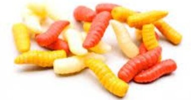 Artificial Lures