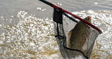 Schepnetten & Stelen