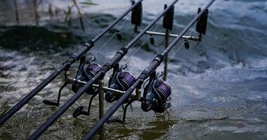 Carp Rods