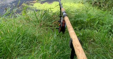 Carp Float Rod