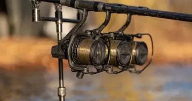 Reels