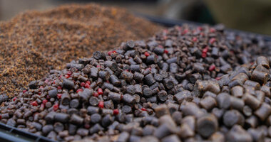 Pellets and Boilies
