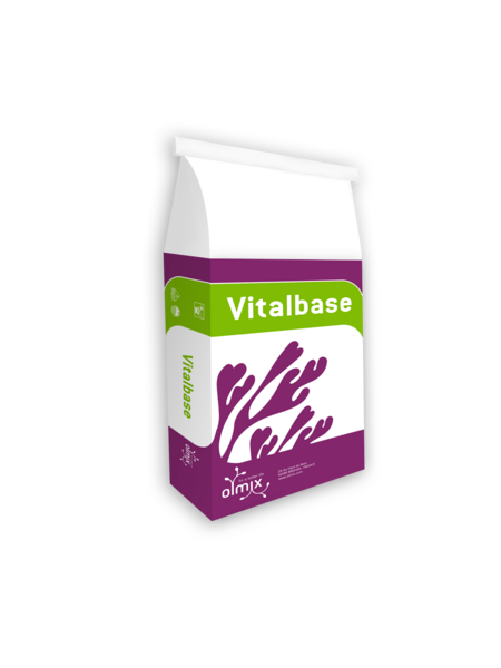 Marathon  Olmix Vitalbase Organisch 15 kg