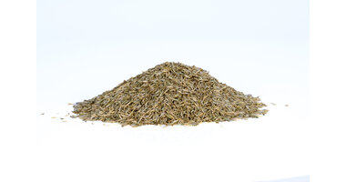 Graszaden