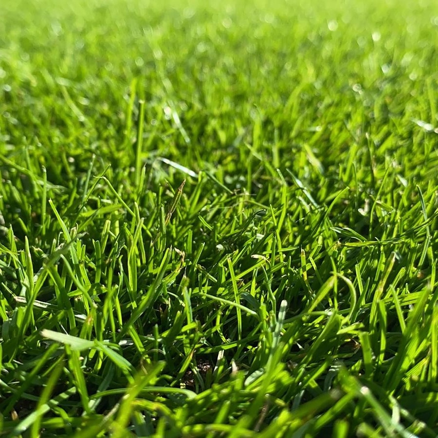 DLF Masterline 4-4-2 4Turf 4Salt graszaad 