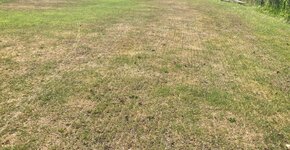 Herstel stappenplan droogte plekken / Dry spots