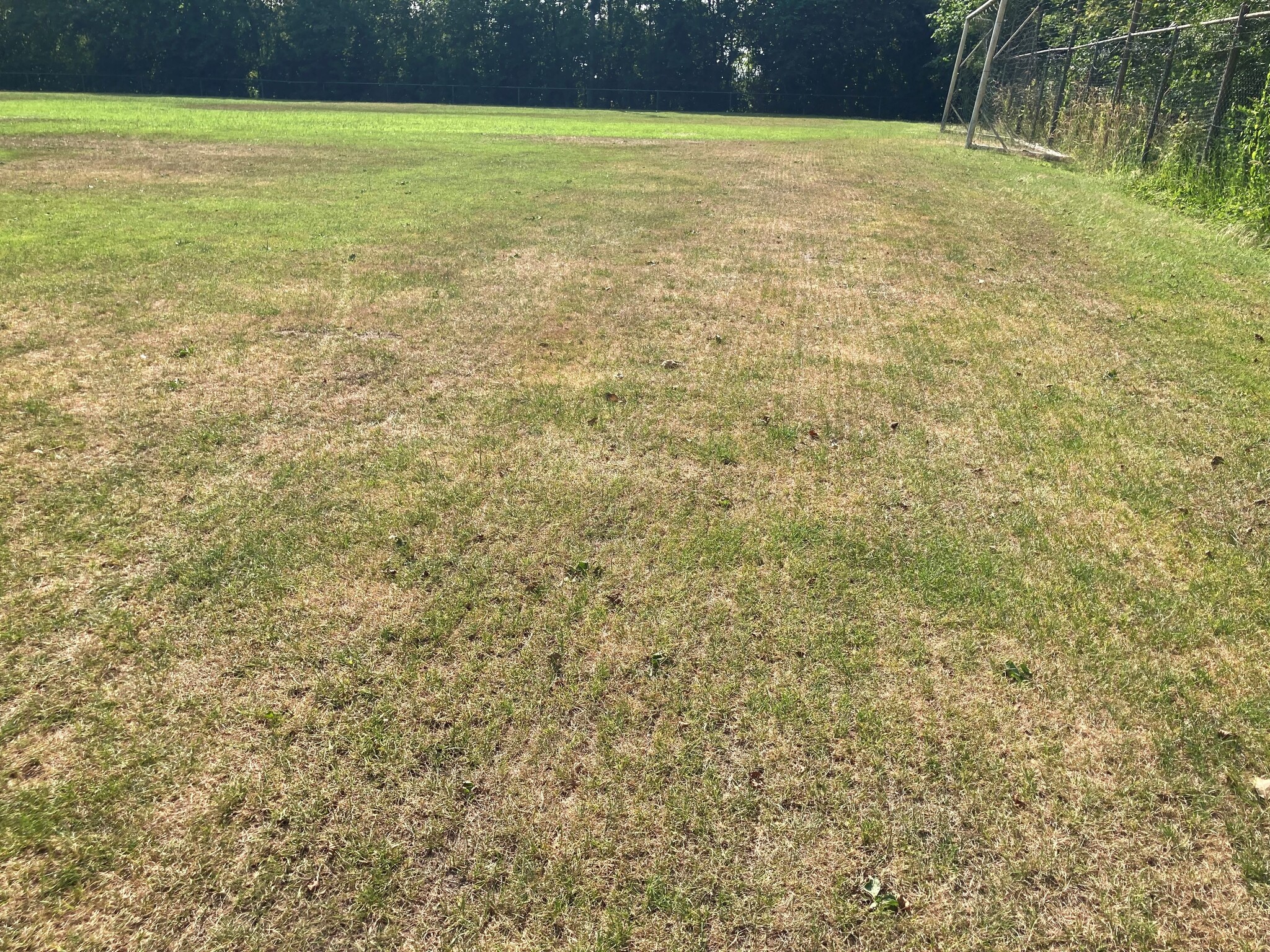 Herstel stappenplan droogte plekken / Dry spots