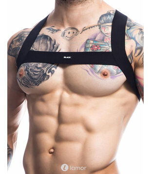 Zwarte Borstharnas02