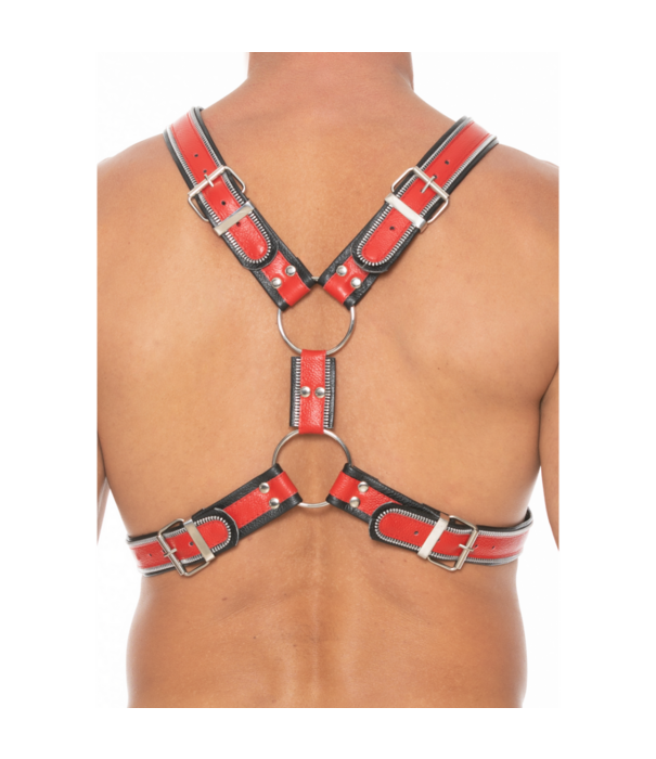 Ouch! by Shots Z Series Scottish Harness - S/M