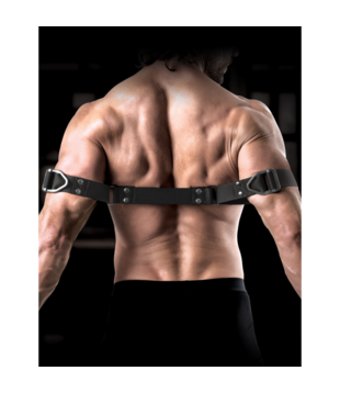 Bicep Bender - Bovenarmbinders