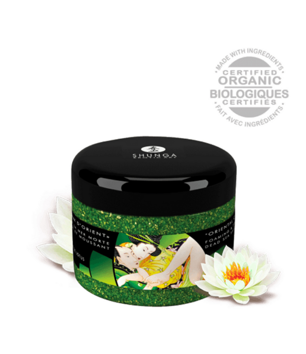 Shunga Tuin van Edo Collectie