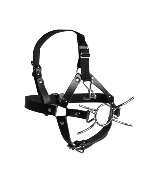Ouch! by Shots Hoofdharnas met Spider Gag en Neus Haken - Zwart