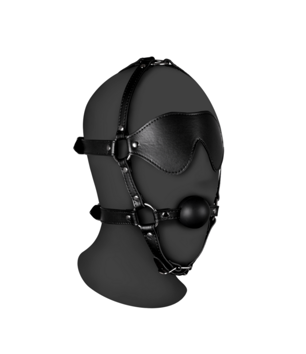Ouch! by Shots Blindfolded Head Harness met Solid Ball Gag - Zwart