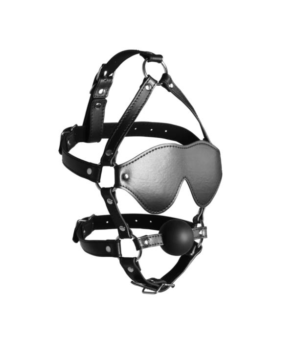 Ouch! by Shots Blindfolded Head Harness met Solid Ball Gag - Zwart