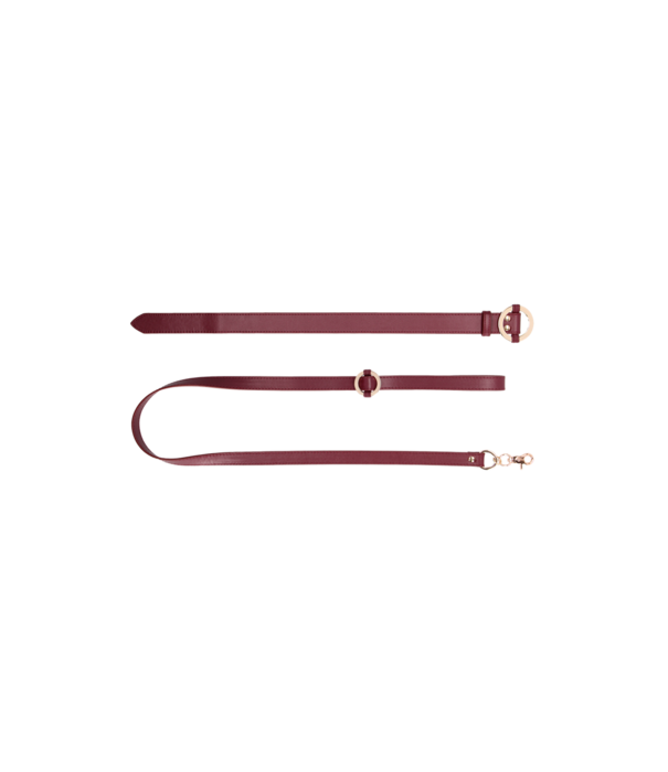 Ouch! by Shots Luxe Halsband met Leash