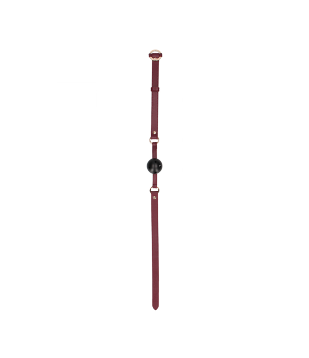 Ouch! by Shots Ademend Ball Gag