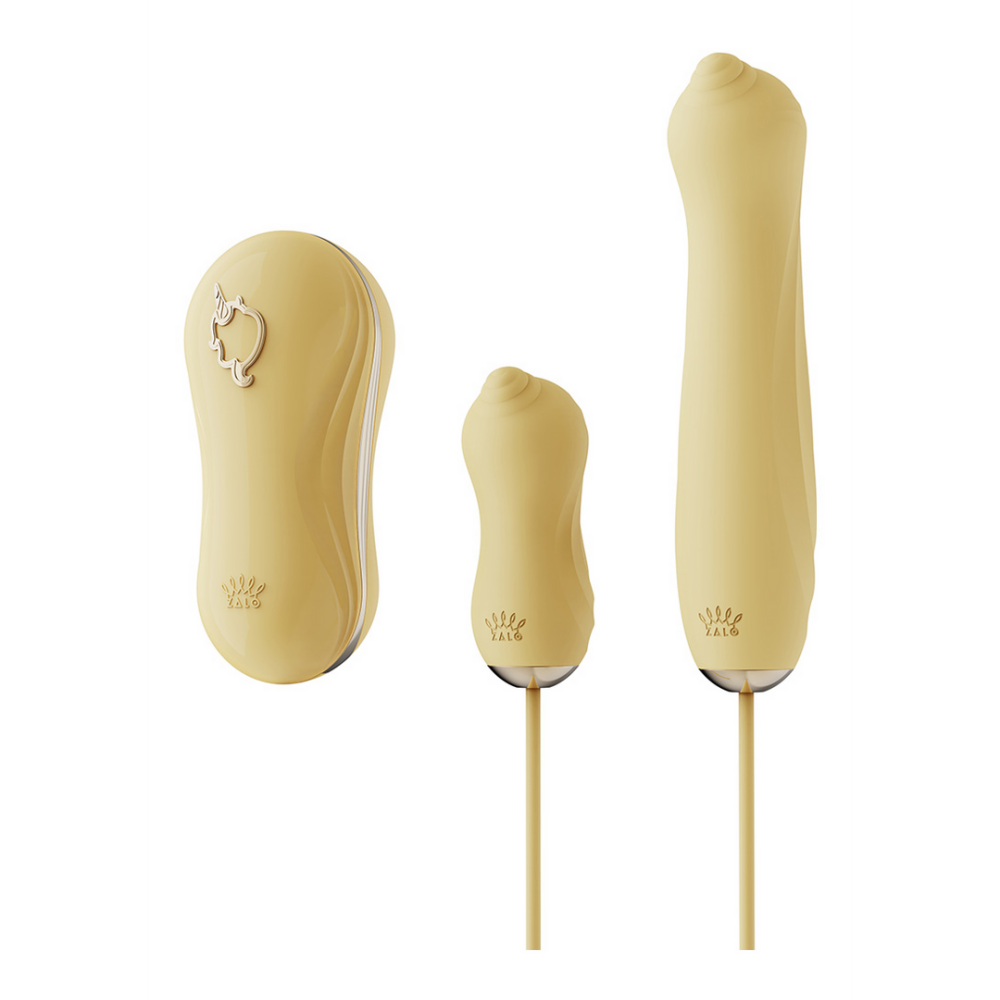 Zalo Sucking Vibrator with Pump and Different Attachments afbeelding