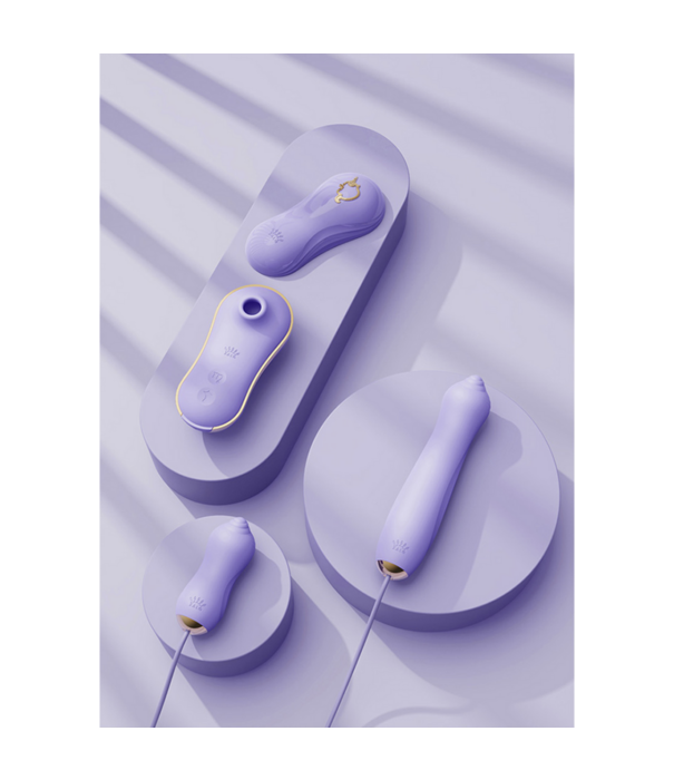 Zalo Sucking Vibrator with Pump and Different Attachments