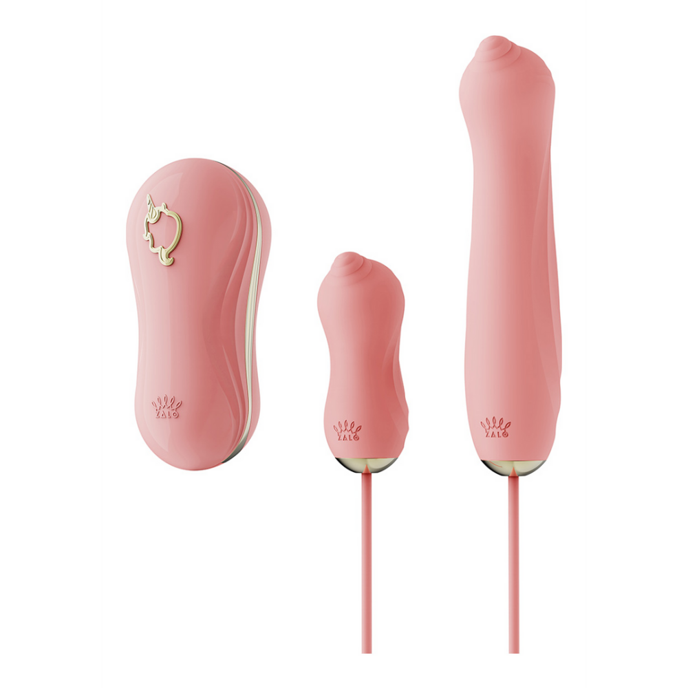 Zalo Sucking Vibrator with Pump and Different Attachments afbeelding