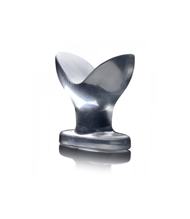 Verankerde Heldere Butt Plug