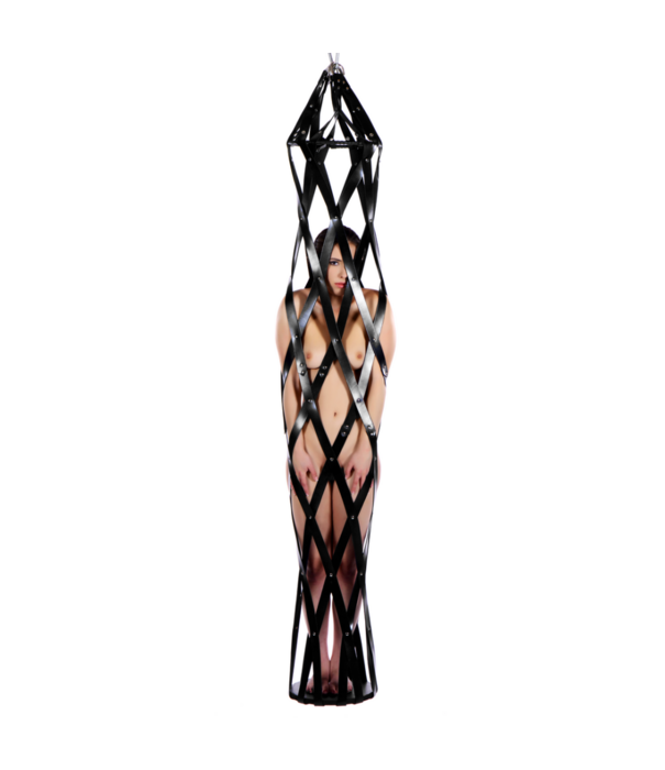 Hangende Leren Strap Kooi