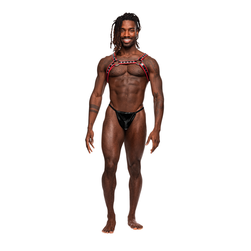 Male Power Leo - Imitatie Leren Harnas - One Size - Zwart/Rood afbeelding