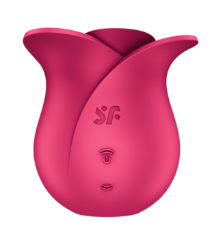 Pro 2 - Modern Rose - Air Pulse Vibrator