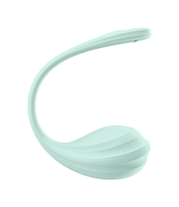Satisfyer Smooth Petal Connect App - Draagbare Paar Vibrator - Mint