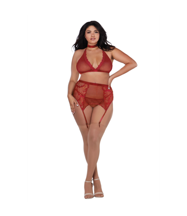 Dreamgirl Visnet en Kant 4-delige Set - Plus Size